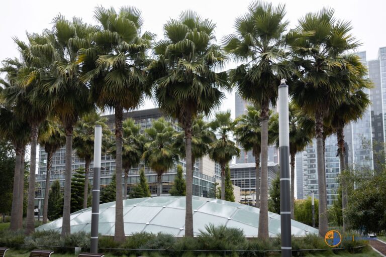 Salesforce trip picture of garden with palm trees and a glass enclosure