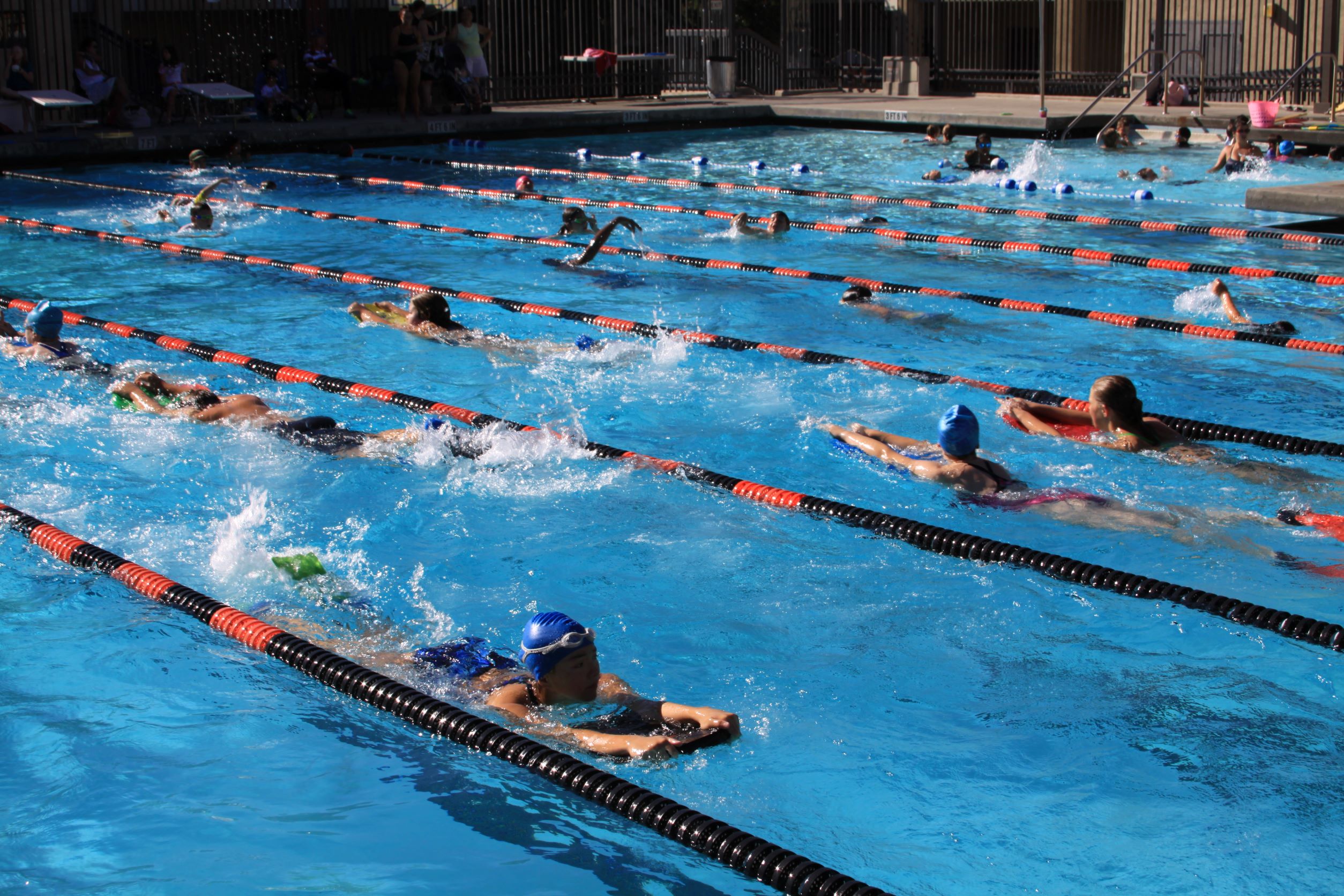 people doing lap swim