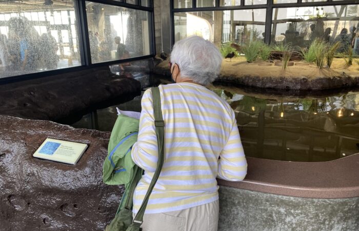 Monterey Bay trip individual looking at a beach exhibit