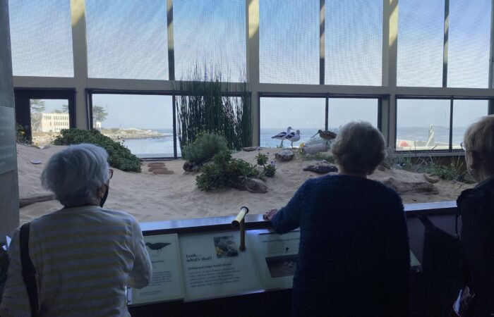 Monterey Bay trip group looking at a beach exhibit