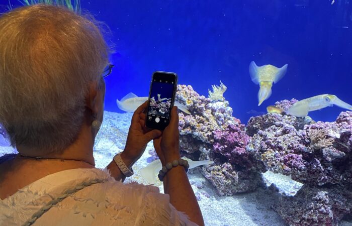 Monterey Bay trip women taking picture of fish in a tank