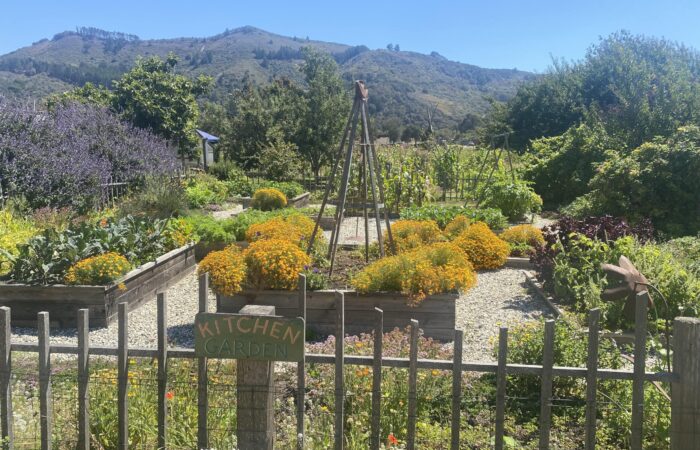 Monterey Bay trip pretty garden