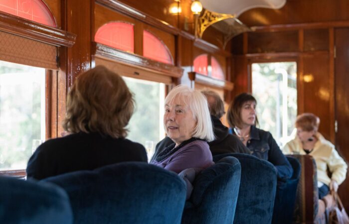 Napa valley wine train trip group on the train