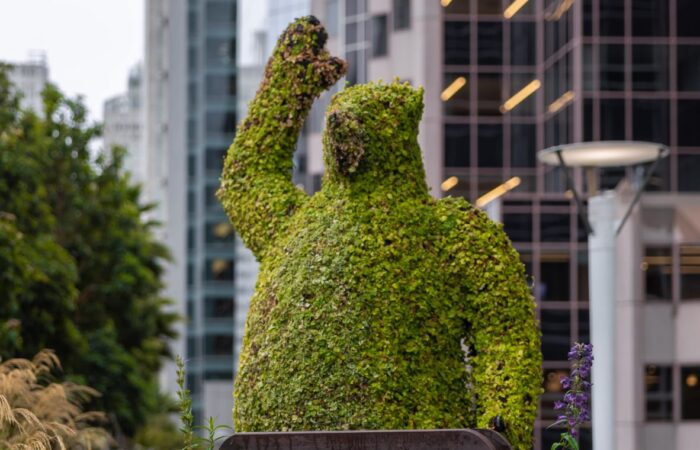 Salesforce trip trailblazer bear bush