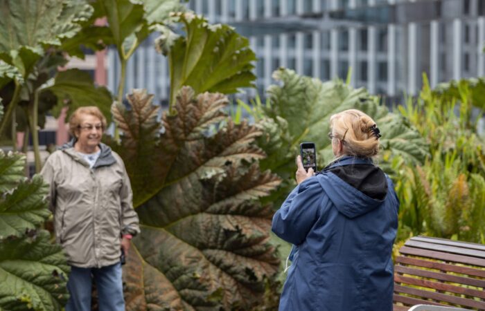 Salesforce trip women with plant with giant leaves