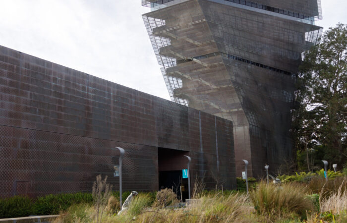 De Young trip exterior