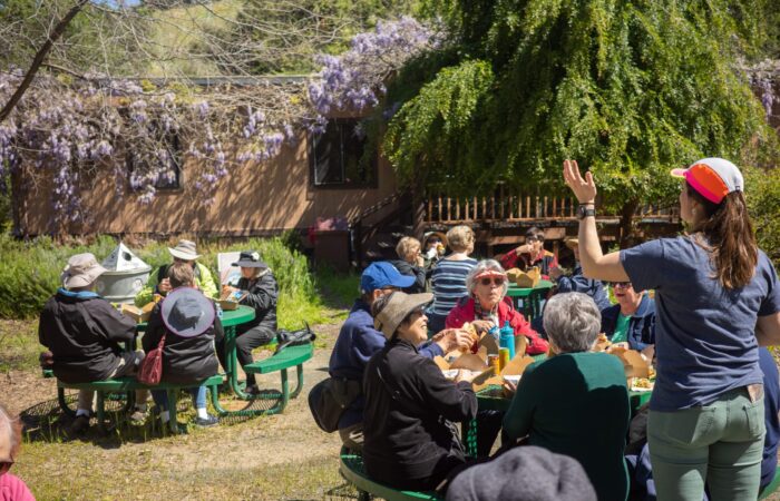 Oakland Zoo trip participants sitting for lunch