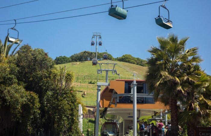 Oakland Zoo trip two gondola rides