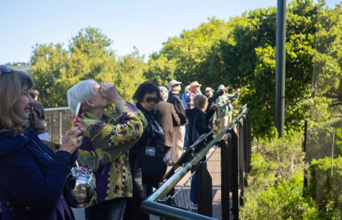 Oakland Zoo trip participants looking at an enclosure