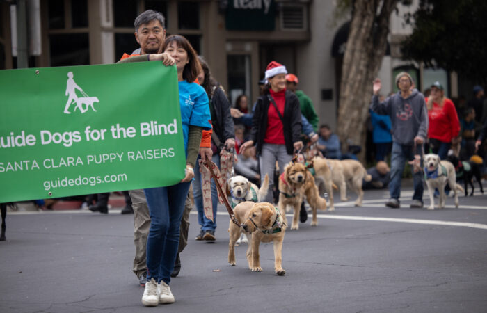 Holiday parade guide dogs for the blind entry