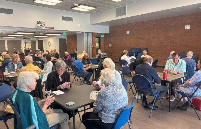 Game day seniors playing bridge