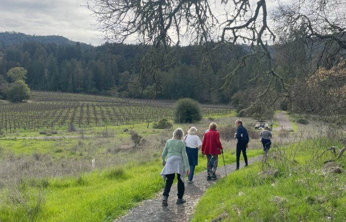 Jack London state park trip - on a hike