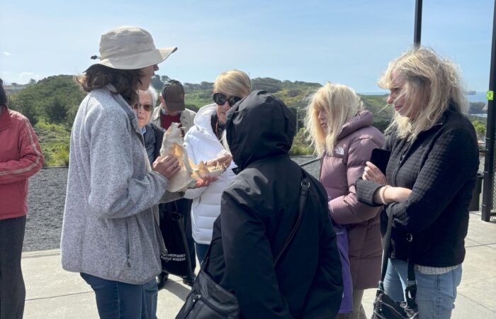 sausalito trip - looking at a skull