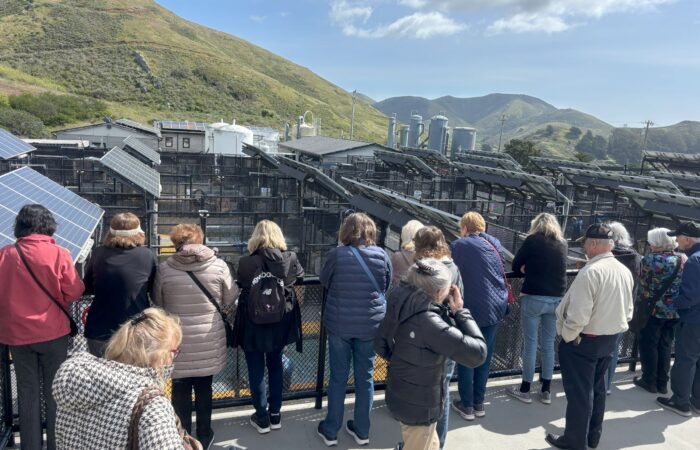 sausalito - looking at the center