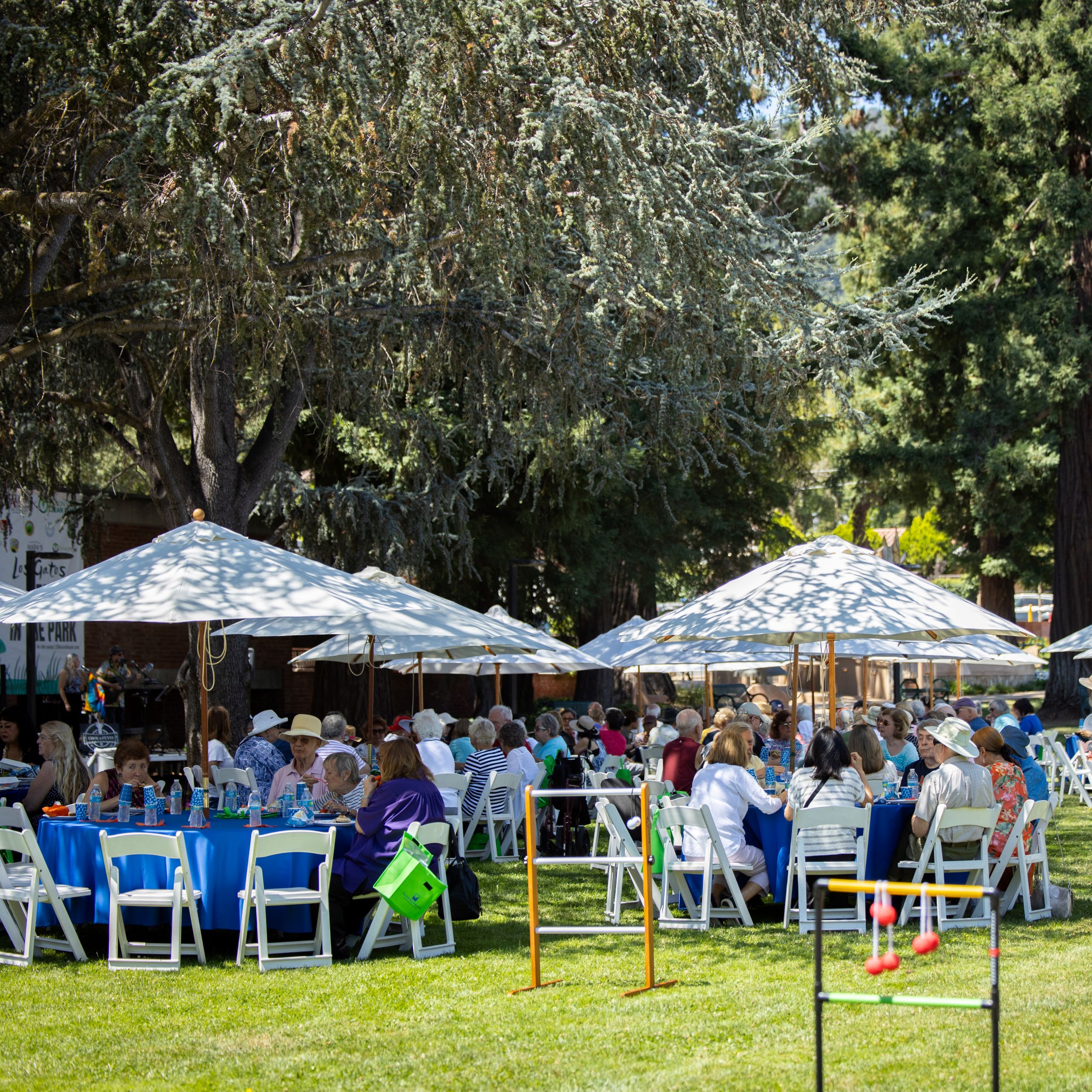 seniors at tables outside for senior picnic