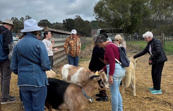 GhostsnGoats 2 Seniors petting goats at the farm